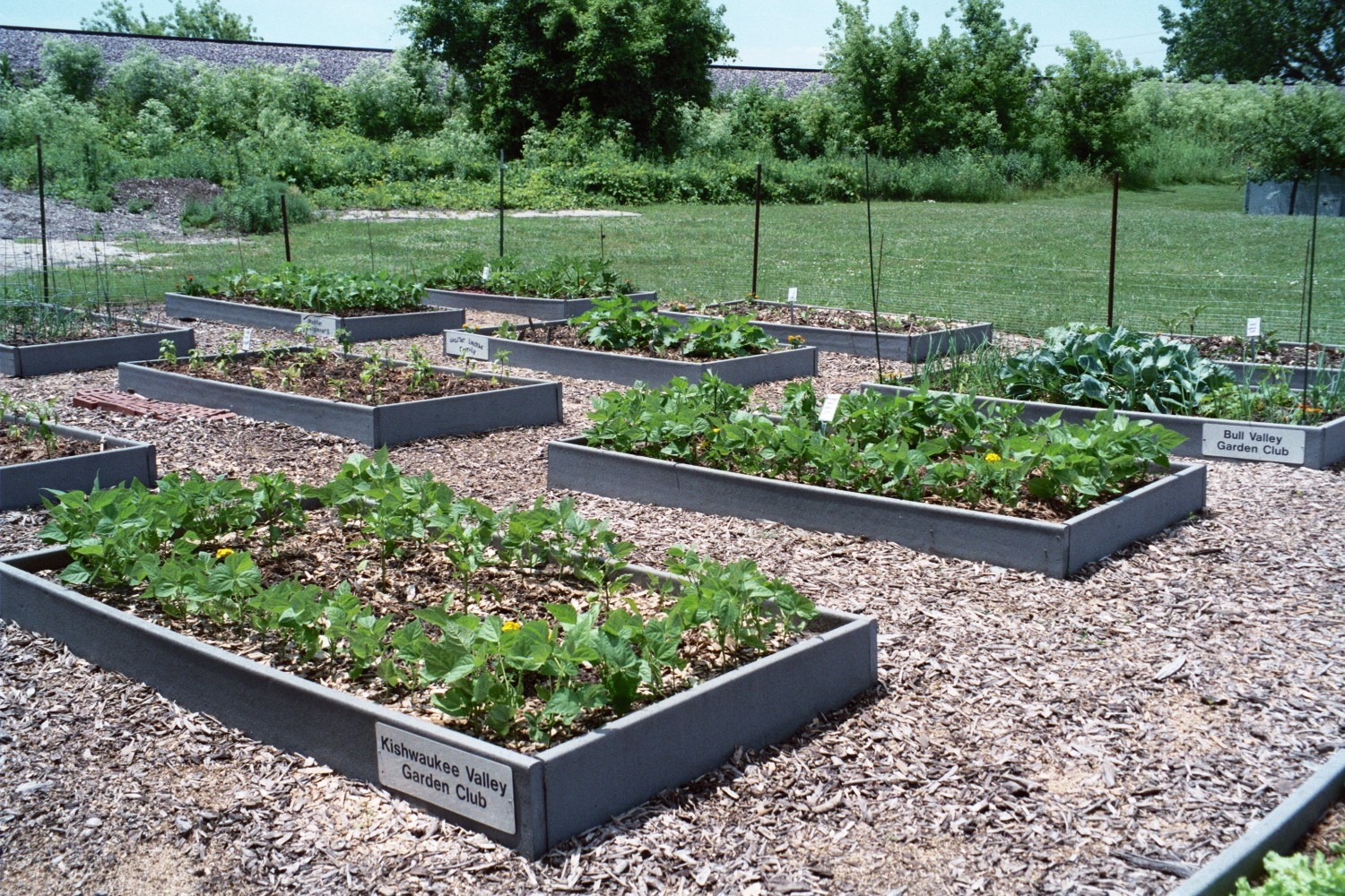 Dahlridge Farm garden plot