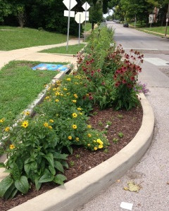 Maple Avenue Monarch Butterfly Garden