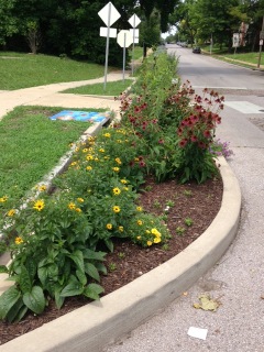 Maple Avenue Monarch Butterfly Garden