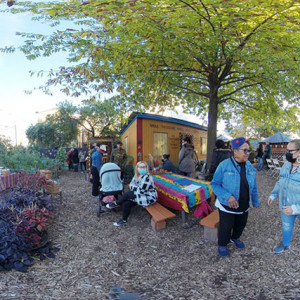 Two of the African huts and outdoor kitchen. Photographer: Michael Kuetemeyer and Anula Shetty.  2022.