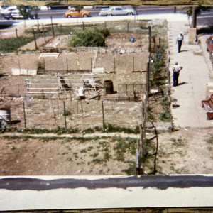 May 1985 photo of garden plots