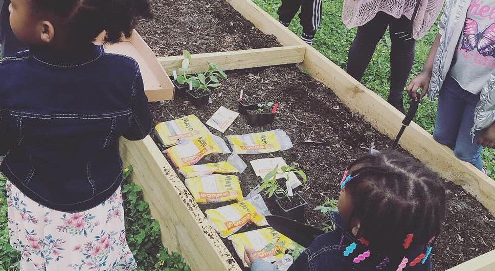 Planting seedlings at Ancestral Roots Community Garden, Menlo Park Neighborhood.