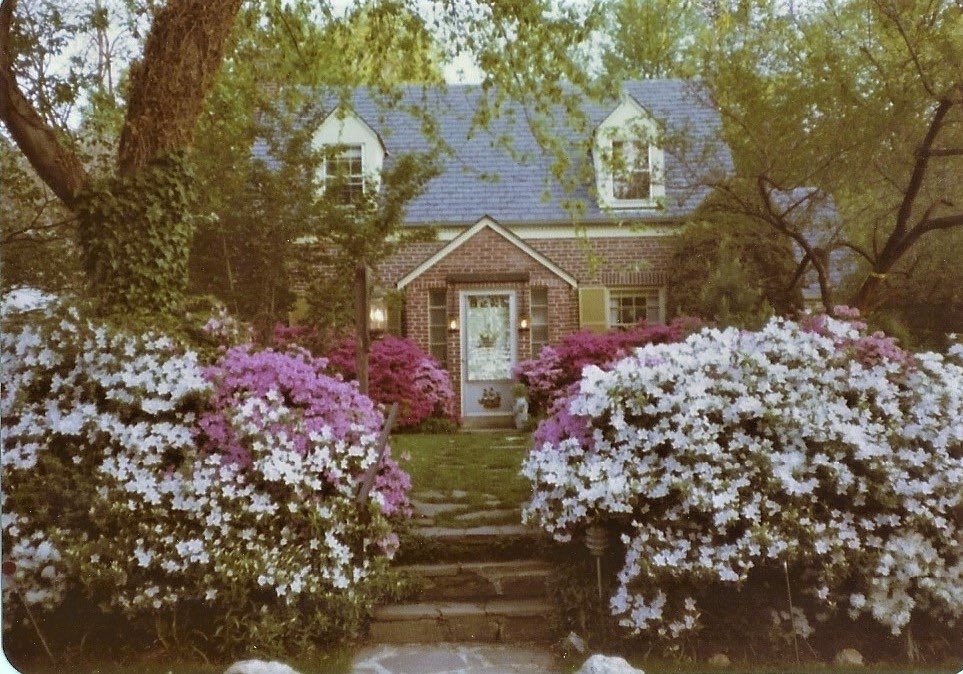 Grandma & Grandpa's Garden