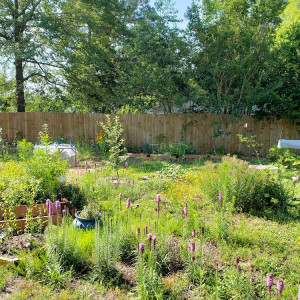 A backyard transformation at The ShawneeSun Garden.