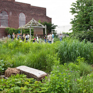 Bel Arbor Community Garden