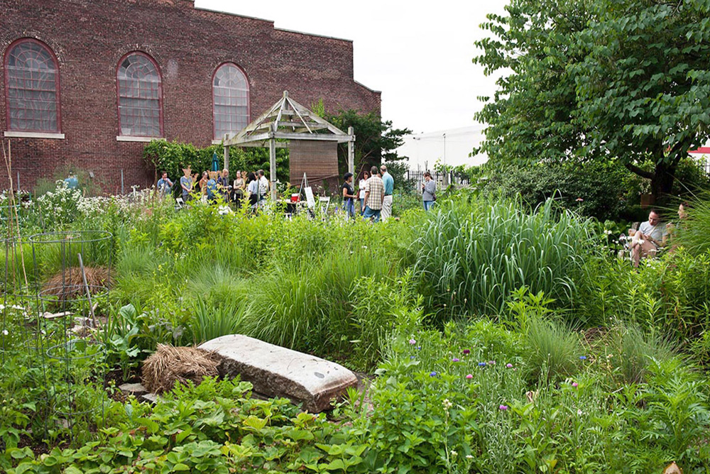 Bel Arbor Community Garden