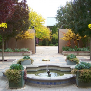 Benches and blooming trees welcome visitors to the Albuquerque BioPark Botanic Garden