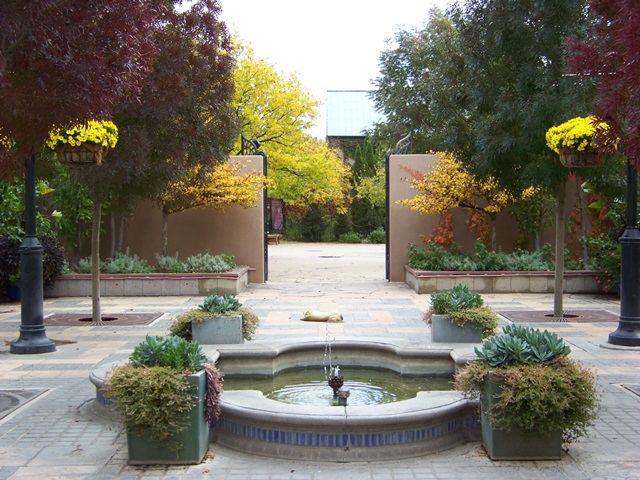 Benches and blooming trees welcome visitors to the Albuquerque BioPark Botanic Garden