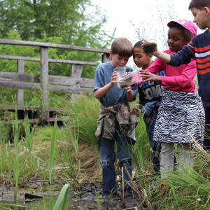 Ithaca Children's Garden