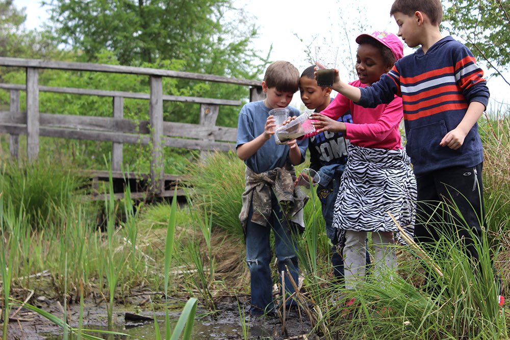 Ithaca Children's Garden