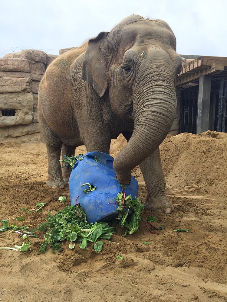 Having a garden snack