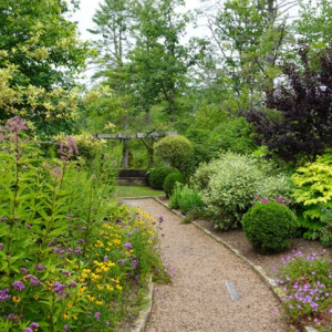 3. View of the Meditation seat in the Hayes Fairchild Memorial Garden. It is planted with mostly natives, i.e., Joe Pye Weed, hydrangeas, Black eyed Susan’s, Black Gum, Boxwoods and various perennials. Sara Gaines, photographer.