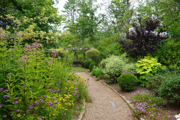 3. View of the Meditation seat in the Hayes Fairchild Memorial Garden. It is planted with mostly natives, i.e., Joe Pye Weed, hydrangeas, Black eyed Susan’s, Black Gum, Boxwoods and various perennials. Sara Gaines, photographer.