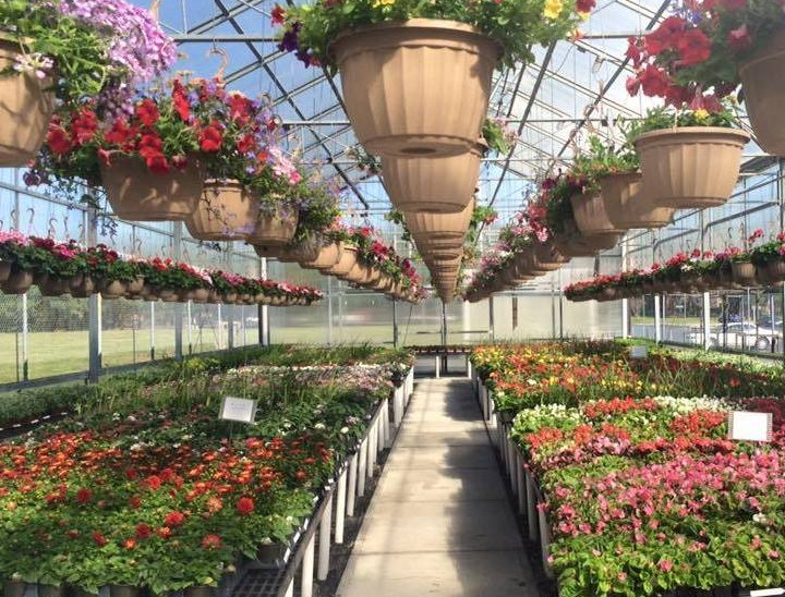 Greenhouses at the A+ Garden Centre