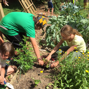 The Children's Learning Garden at Woodend Sanctuary