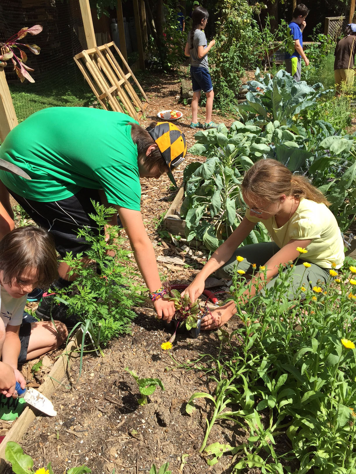 The Children's Learning Garden at Woodend Sanctuary