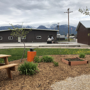 Ronan High School Native Plant Garden: A Space for Learning, Community, & Cultural Competency