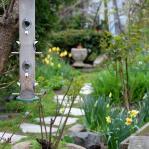 A bird feeder in Gregory's Garden