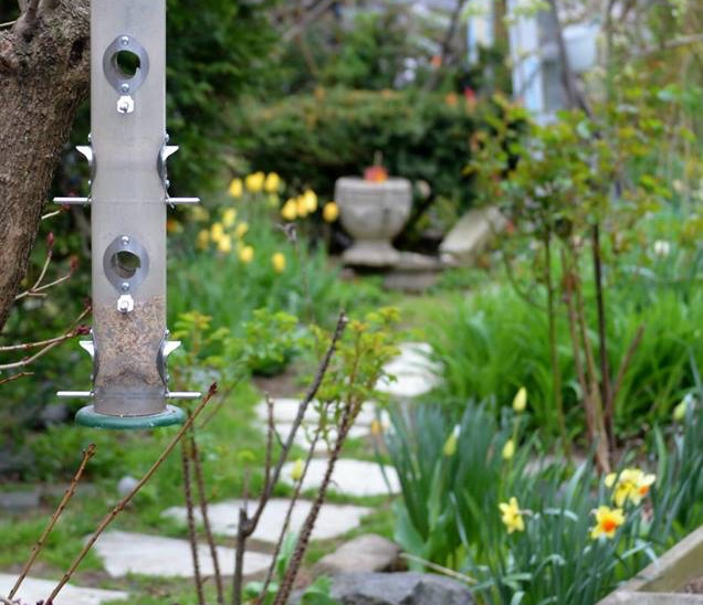 A bird feeder in Gregory's Garden