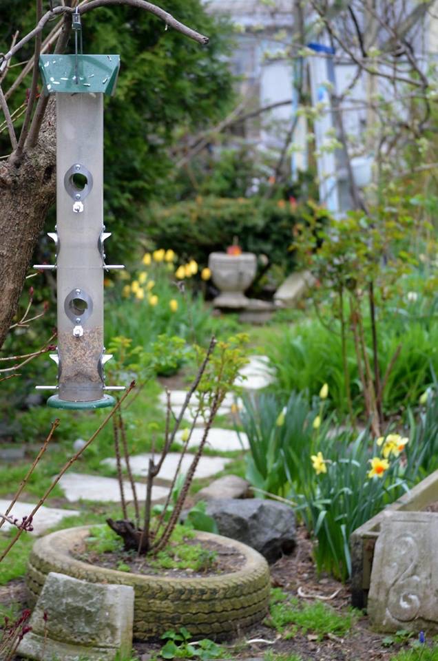 A bird feeder in Gregory's Garden