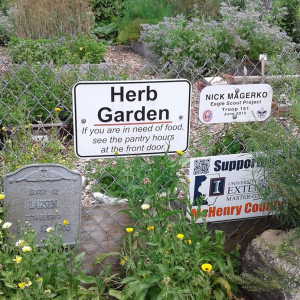 The United Airlines Greenhouse