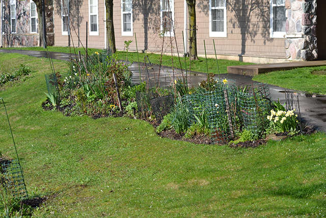 Garden border next to asphalt walkway at the Never Give Up! garden.