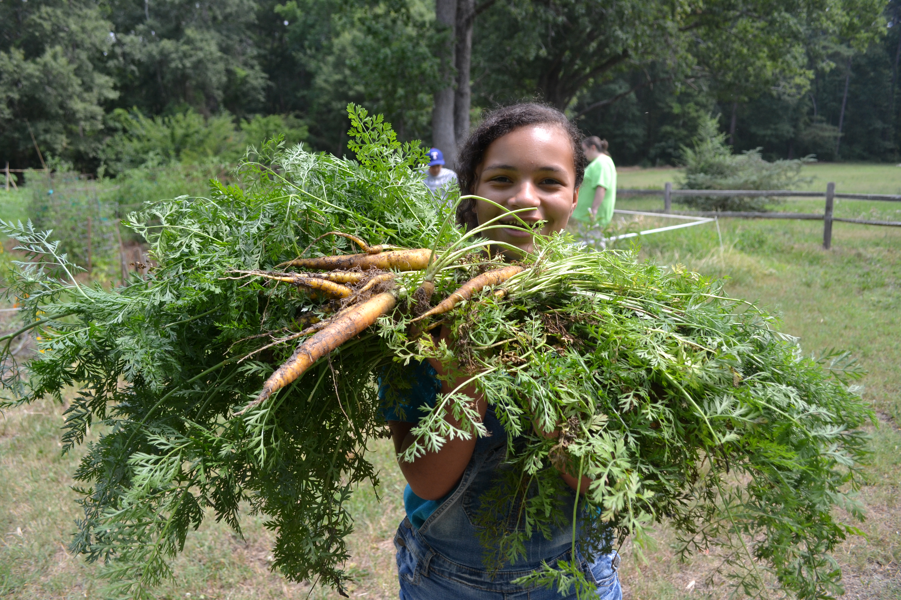 A bounty of carrots