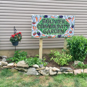 2020 photo of garden beds with vegetables and flowers at the Bouvier Community Garden