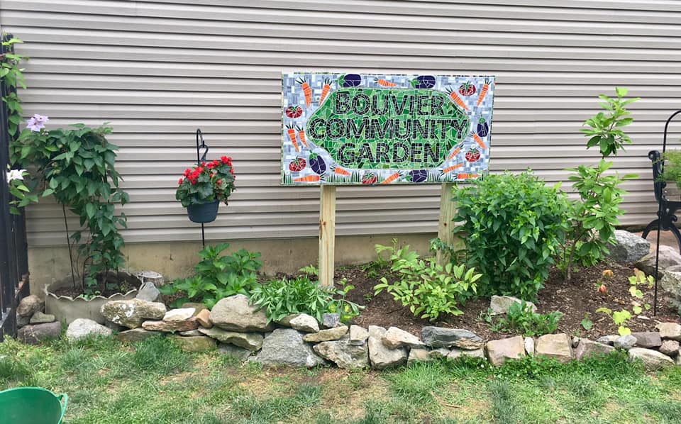 2020 photo of garden beds with vegetables and flowers at the Bouvier Community Garden