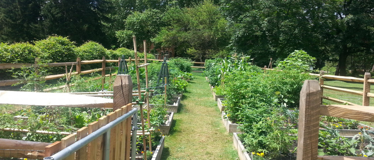 2018 photo of the garden from the gate at Glen Foerd Community Garden