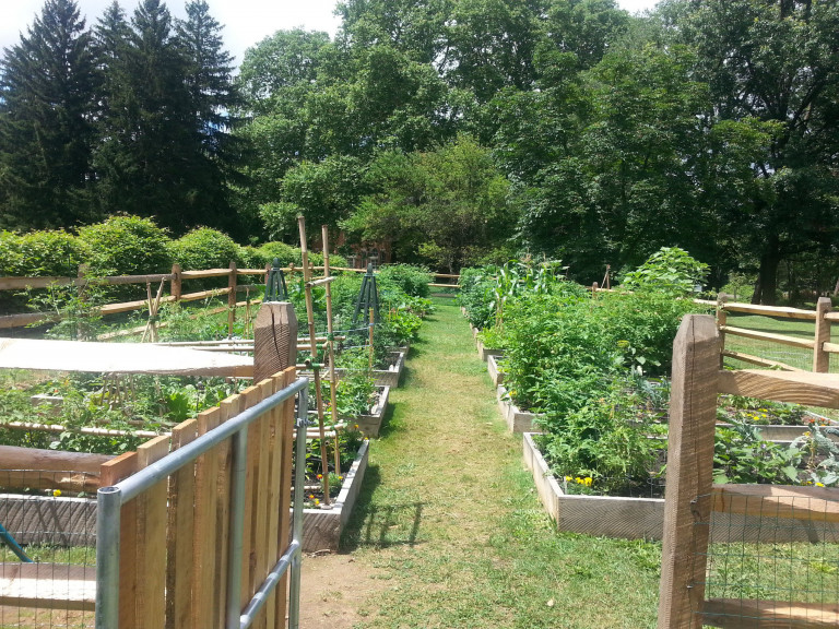 2018 photo of the garden from the gate at Glen Foerd Community Garden