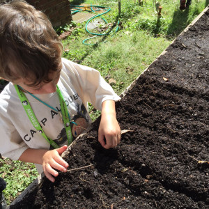 The Children's Learning Garden at Woodend Sanctuary