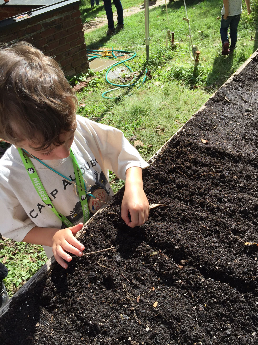 The Children's Learning Garden at Woodend Sanctuary