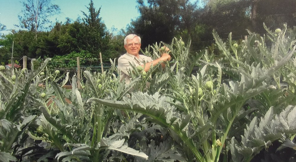 Nicola Ranieri poses with his 3,400 artichokes on his mini farm