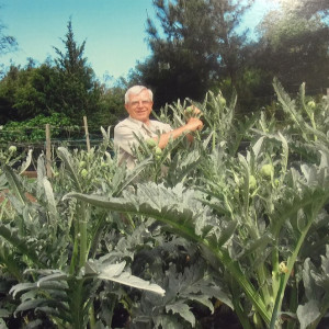 Nicola Ranieri poses with his 3,400 artichokes on his mini farm