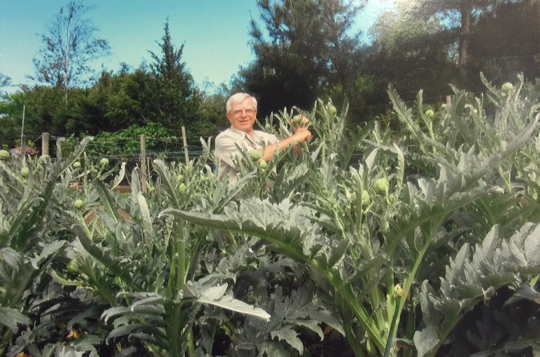 Nicola Ranieri poses with his 3,400 artichokes on his mini farm