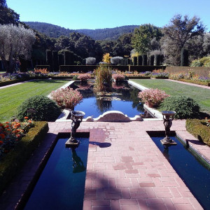 The Sunken Garden at Filoli garden,