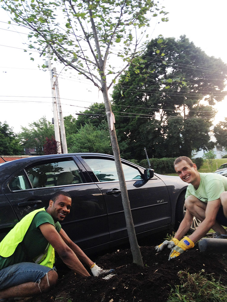 Volunteers planting a street tree