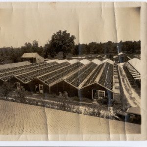 Antoine Alost and family at the Rose Villa Nursery in New Orleans, early 20th century.