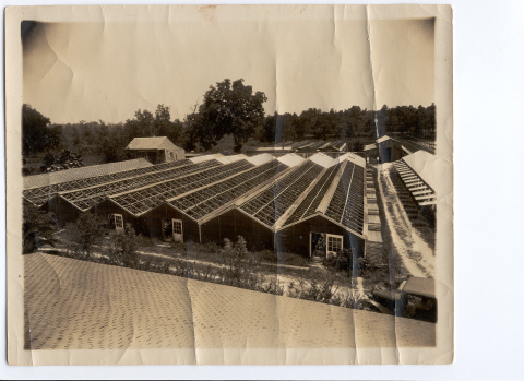 Antoine Alost and family at the Rose Villa Nursery in New Orleans, early 20th century.