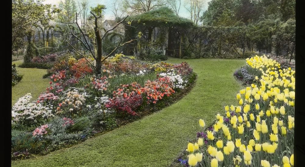 Breeze Hill garden 1932