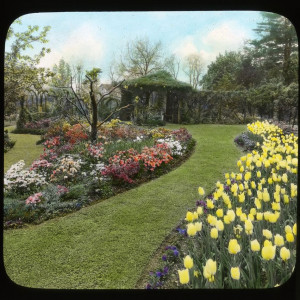 Breeze Hill garden 1932