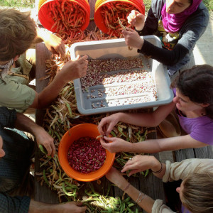 Jones Valley Teaching Farm