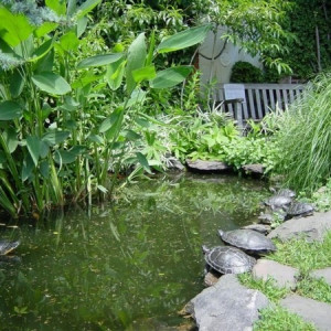 Liz Christy Community Garden