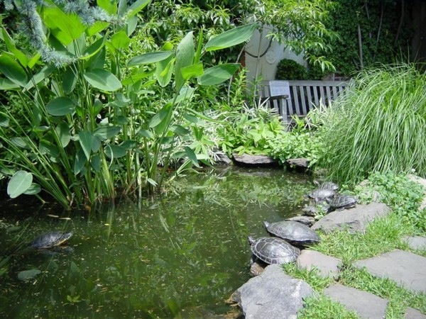 Liz Christy Community Garden