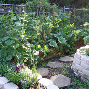 This right-of-way is now an urban garden.