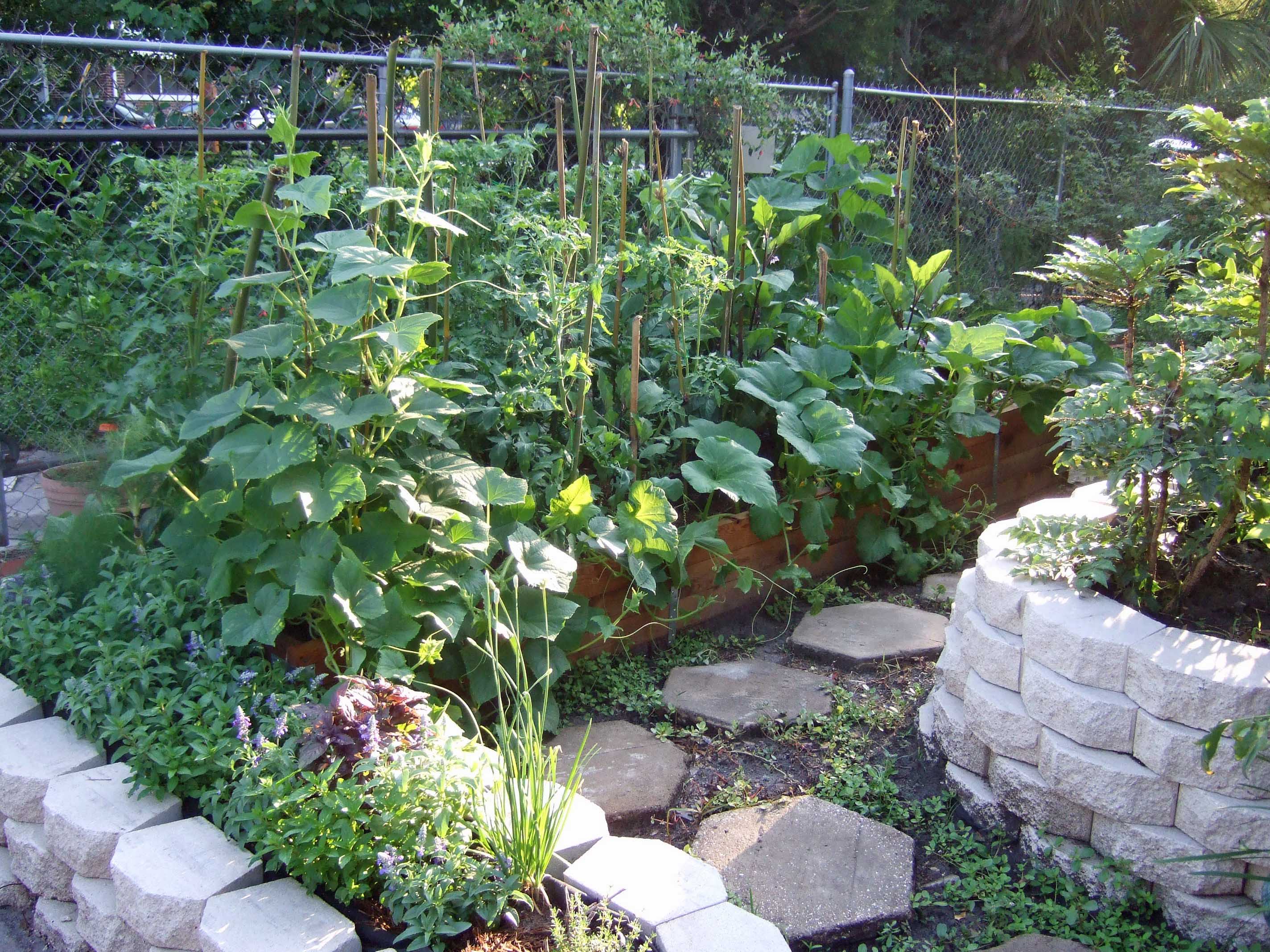 This right-of-way is now an urban garden.