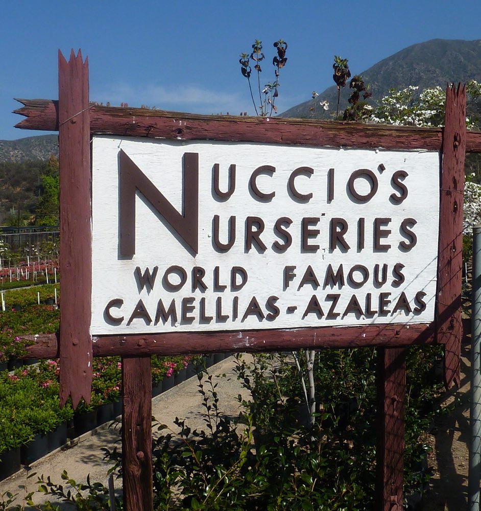 Nuccio's Nurseries