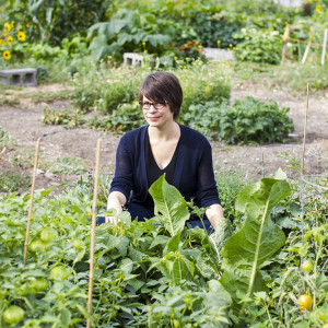 Just Plant More Beans. At the Northside Community Garden in Missoula, Montana. Photo by Crackle Photography.