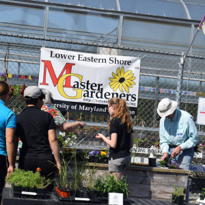 Located at Parkside High School in Salisbury, Maryland, the garden centre is part of the Career Technology Program (CTE).